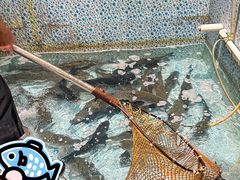 -鱼神·脆肉鲩 全鱼宴(西乡店)