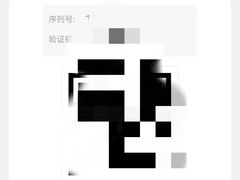 -枫花园汽车电影院(朝阳公园店)