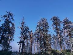 -瓦屋山景区