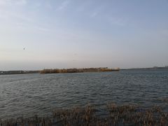 -丁香湖公园