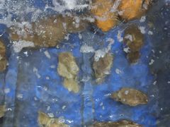 -蓝湾碧波·老字号·疍家非遗海上餐厅