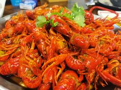 香辣小龙虾（大份）-海岛八号龙虾烧烤田鸡(蓝天路总店)