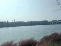 -羊山湖公园