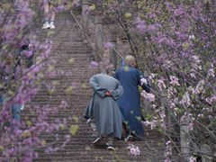 -天台山赤城山景区