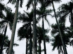 -南宁南湖公园