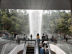 -Bengawan Solo(Changi Airport Terminal 2)