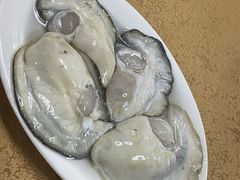 -濠轩阁特色生蚝火锅总店
