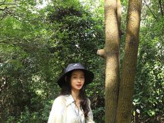 -火炉山森林公园