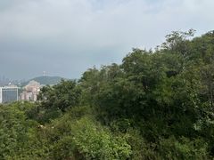 -富斯特索道