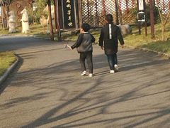 -杏花村文化旅游区