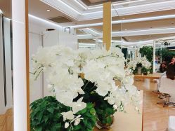 -In Style造型