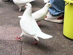-国色天乡三期陆地乐园