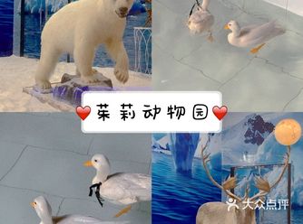 魔都遛娃圣地——茱莉室内动物园