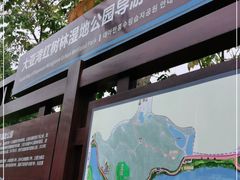 -大亚湾红树林城市湿地公园