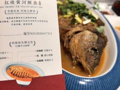 -阿五黄河大鲤鱼(海尚店)