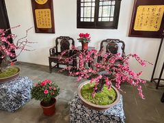 -无锡梅园公园