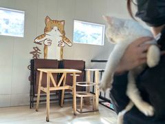 -豆逗聊愈猫阁Easy Life