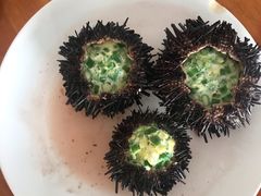 海胆-南蚝小贝海鲜特色餐厅(南澳岛店)