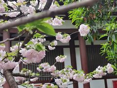-西安青龙寺遗址景区