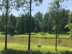 -黄海国家森林公园