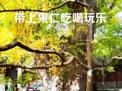 -北京鹫峰国家森林公园