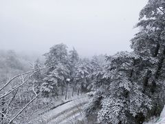 -峨眉山风景名胜区