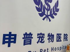 -申普宠物医院·眼科·心内科·影像科(普陀分院)