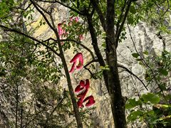 -杭州半山国家森林公园