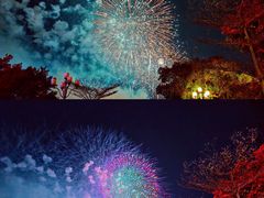 -洲头咀公园