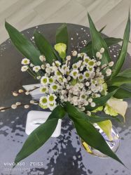 -HEYAN荷妍专业脱毛连锁机构