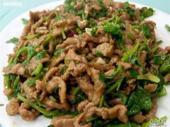 香菜羊肉丝-清真·玛丽亚新疆菜主题餐厅(浙江中路店)