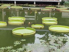 -国家植物园南园