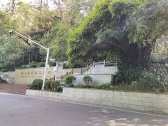 -咸宁温泉谷大酒店
