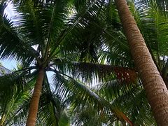 -海南文笔峰盘古文化旅游区