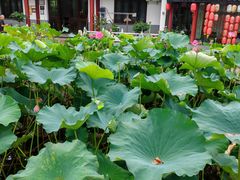 -龚家花园农家乐休闲别墅