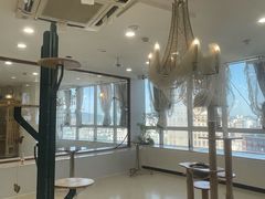 -共舞时光猫咖·狗咖(新街口店)