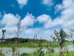 -上海海湾国家森林公园