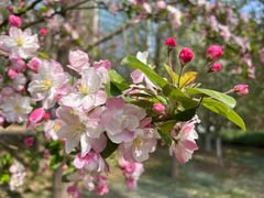 -元大都城垣遗址公园