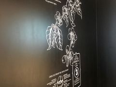 -星巴克(苏州泰华店)