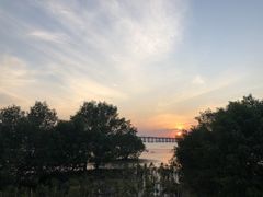 -宝安西湾红树林湿地公园