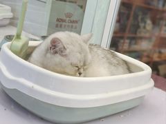 -太原茂业天地购物中心