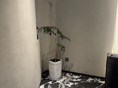 -不晚酒店(苏州观前平江路店)