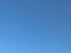 -牛栏山市场