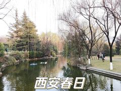 -城市运动公园(未央区)
