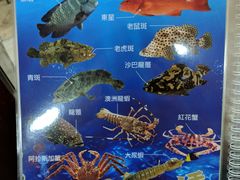 -新志兴至尊烧鹅大王