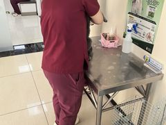 -美联众合动物医院·24h京西诊疗中心
