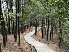 -火炉山森林公园