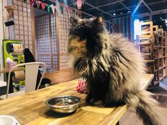 -小时光咖啡馆(开森度假森林店)