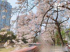 -红星桥(地铁站)