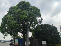 -云龙湖旅游景区